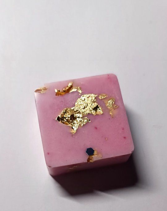 Canne à sucre