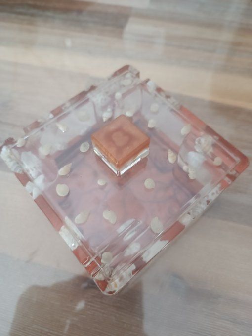 Cendrier coquillages